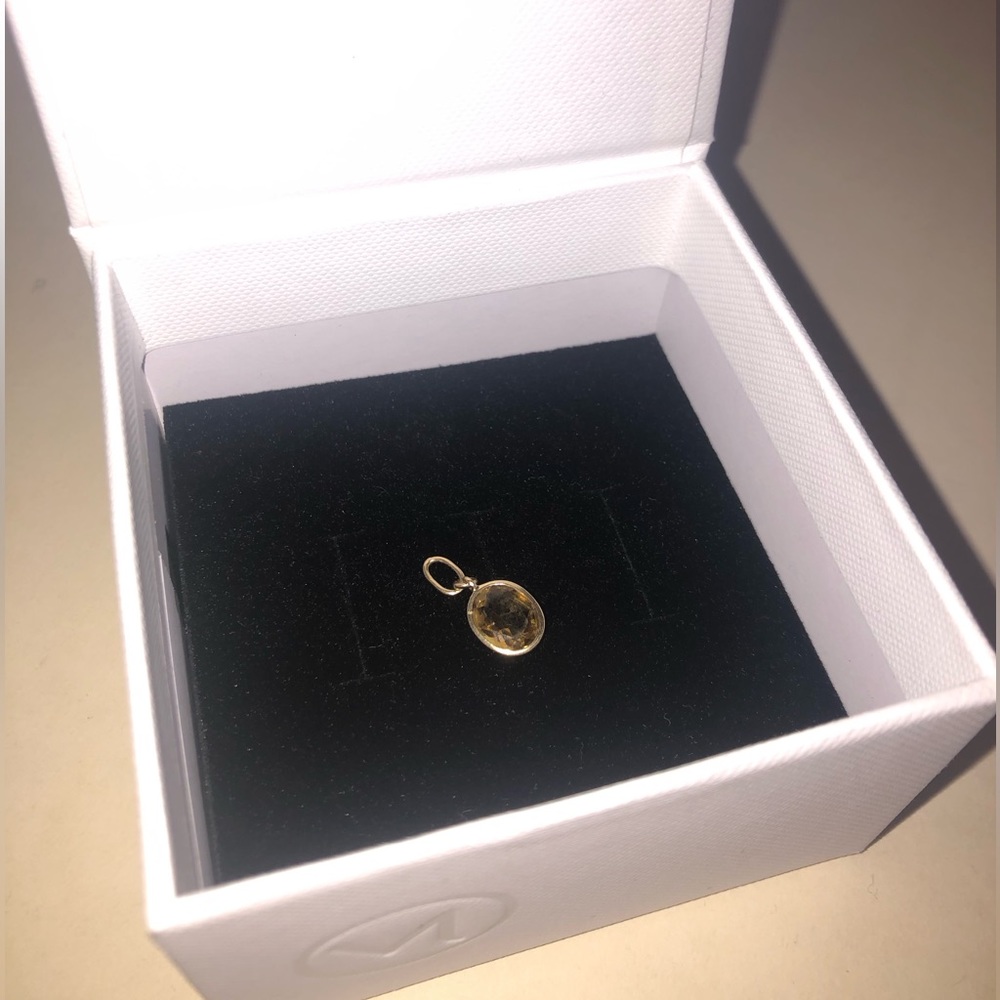 COPY - 14k Gold Charm from Mejuri⚜️
